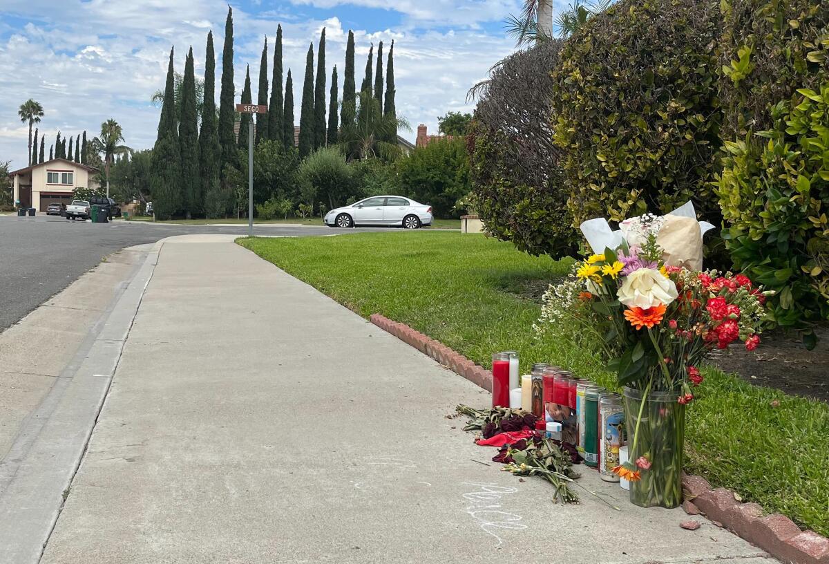 Candles and flowers on a sidewalk next to a lawn and hedges