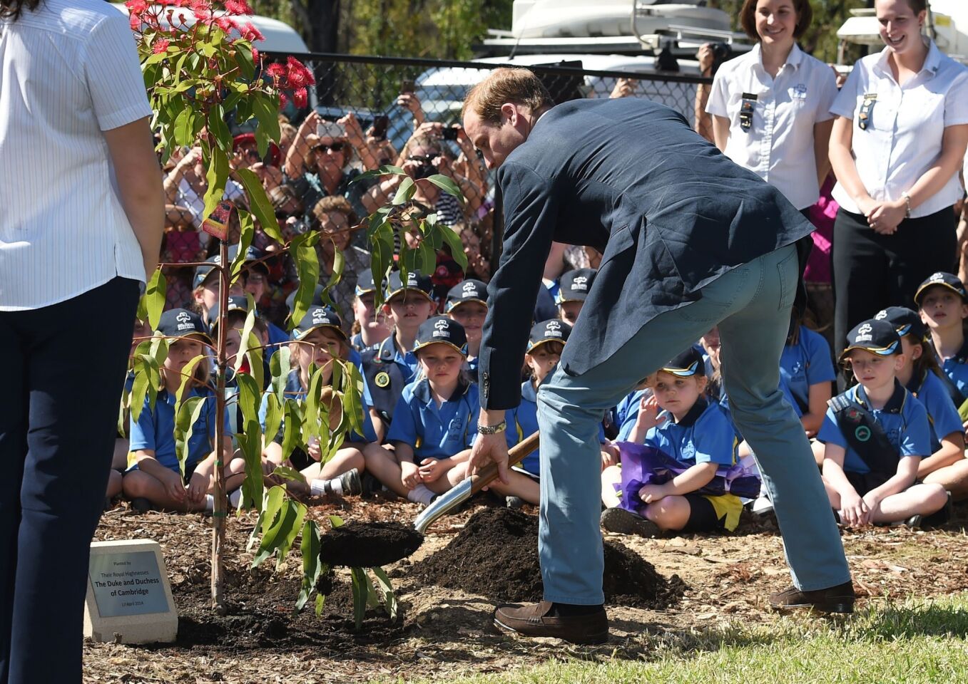 Prince William shovels dirt as he helps plant a tree at a Girl Guide hall at Winmalee, Australia.