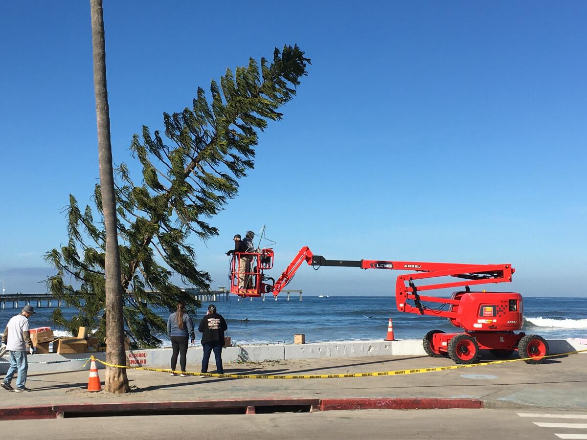 The 2021 Ocean Beach holiday tree is prepared for takedown after the holidays.