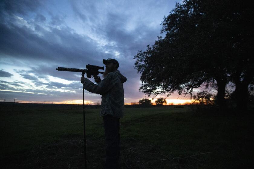 THROCKMORTON COUNTY, TEXAS -- SATURDAY, FEBRUARY 29, 2020: Fred Jones peers through the infrared scope on his AR-style rifle as night falls on a wheat field in rural Throckmorton County, Texas, on Feb. 29, 2020. (Brian van der Brug / Los Angeles Times)
