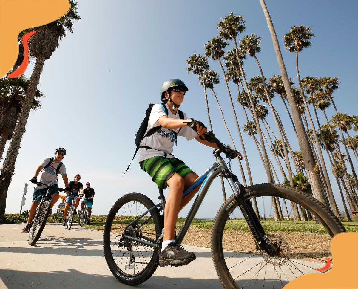 Young people in bike helmets ride bikes along a path bordered by palm trees.