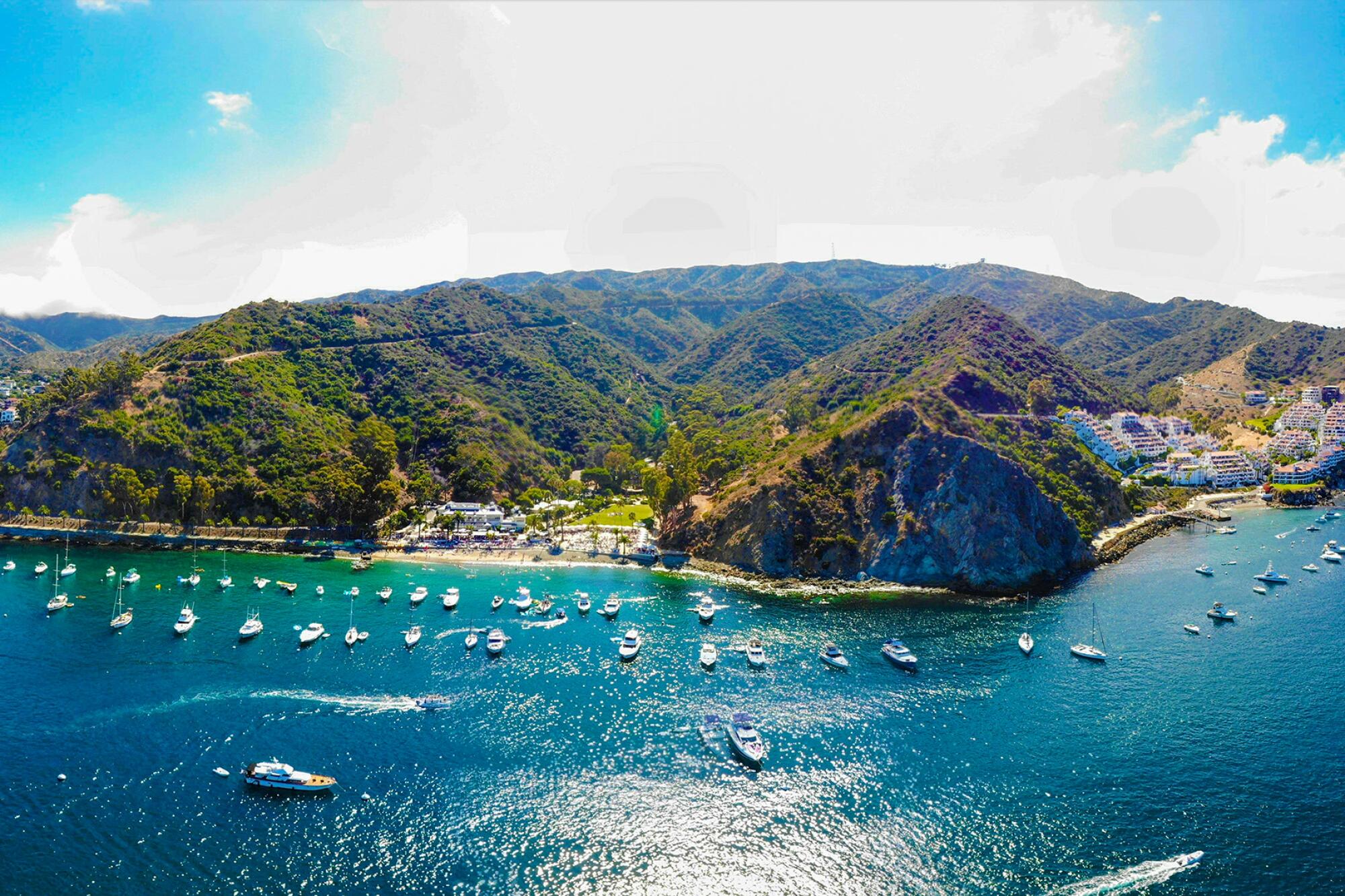 Not Your Grandma’s Catalina – a Renewed Island Awaits - Los