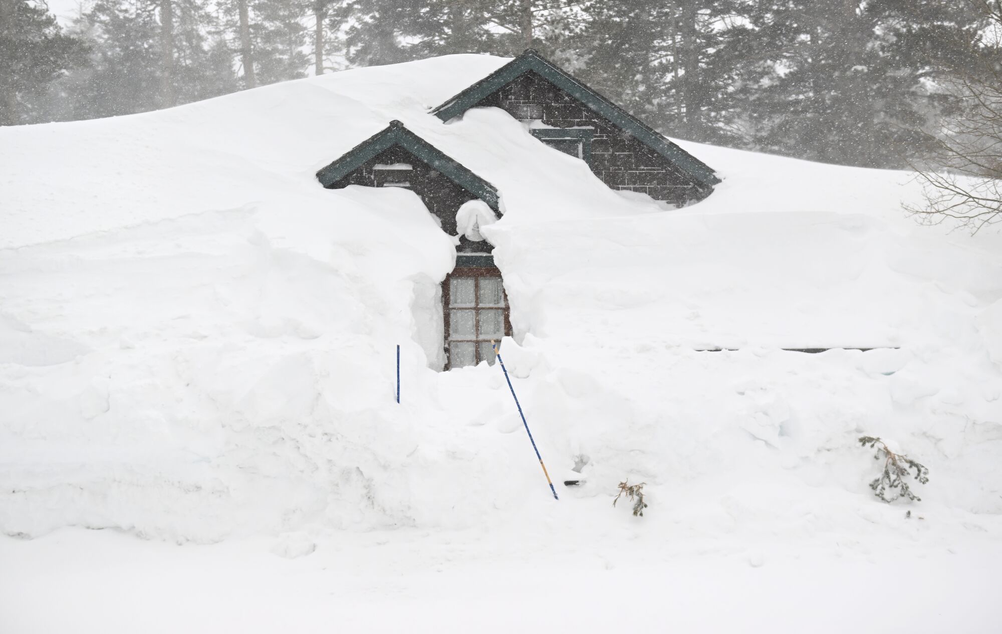 Une cabane est enterrée dans la neige au Tamarack Lodge à Mammoth Lakes.
