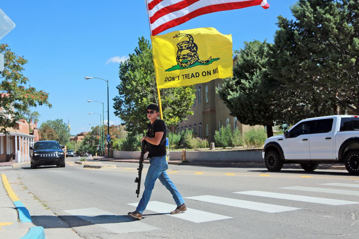 A demonstrator carries a U.S. flag and another flag that reads "Don't Tread on Me"