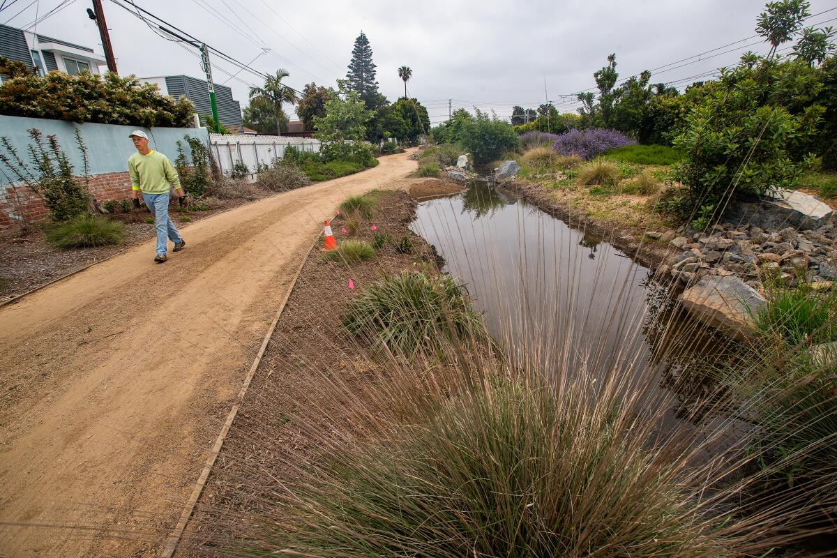 A man walking on a wide path next to a placid stream and California native plants.