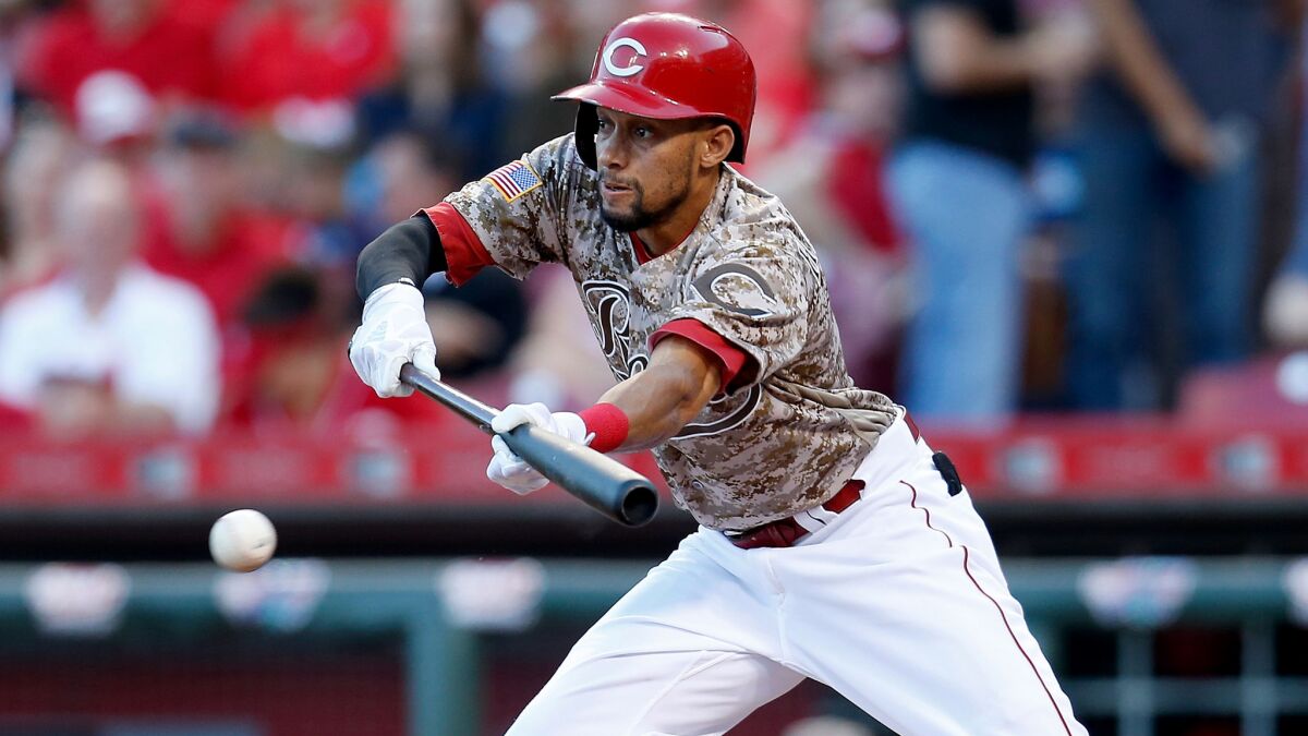 Reds center fielder Billy Hamilton lays down a bunt against the Cardinals during a game Sept. 2.