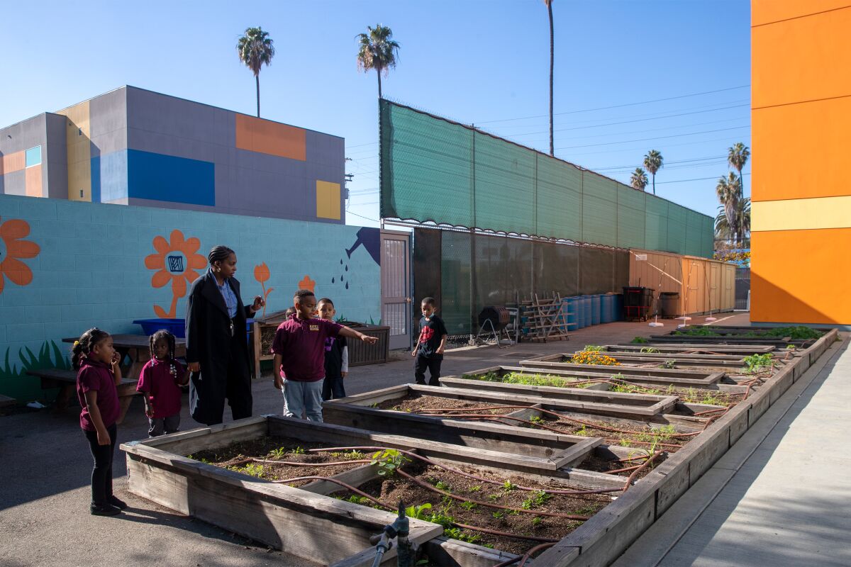 A principal points out plants to students in a school garden.