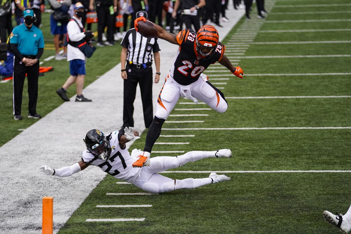 Cincinnati Bengals on X: Hayden's crop top  / X