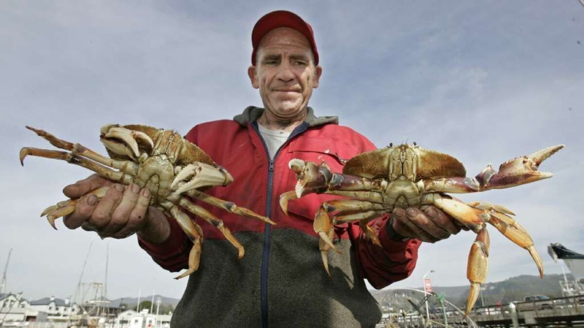 Commercial fisherman Duncan MacLean holds up two Dungeness crabs he caught from his boat in Half Moon Bay, Calif., in 2008.