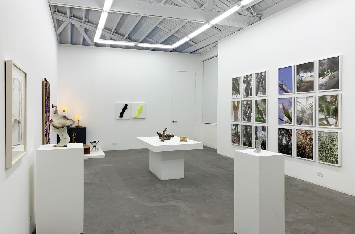 Photographs, sculptures and other artworks in a gallery space.