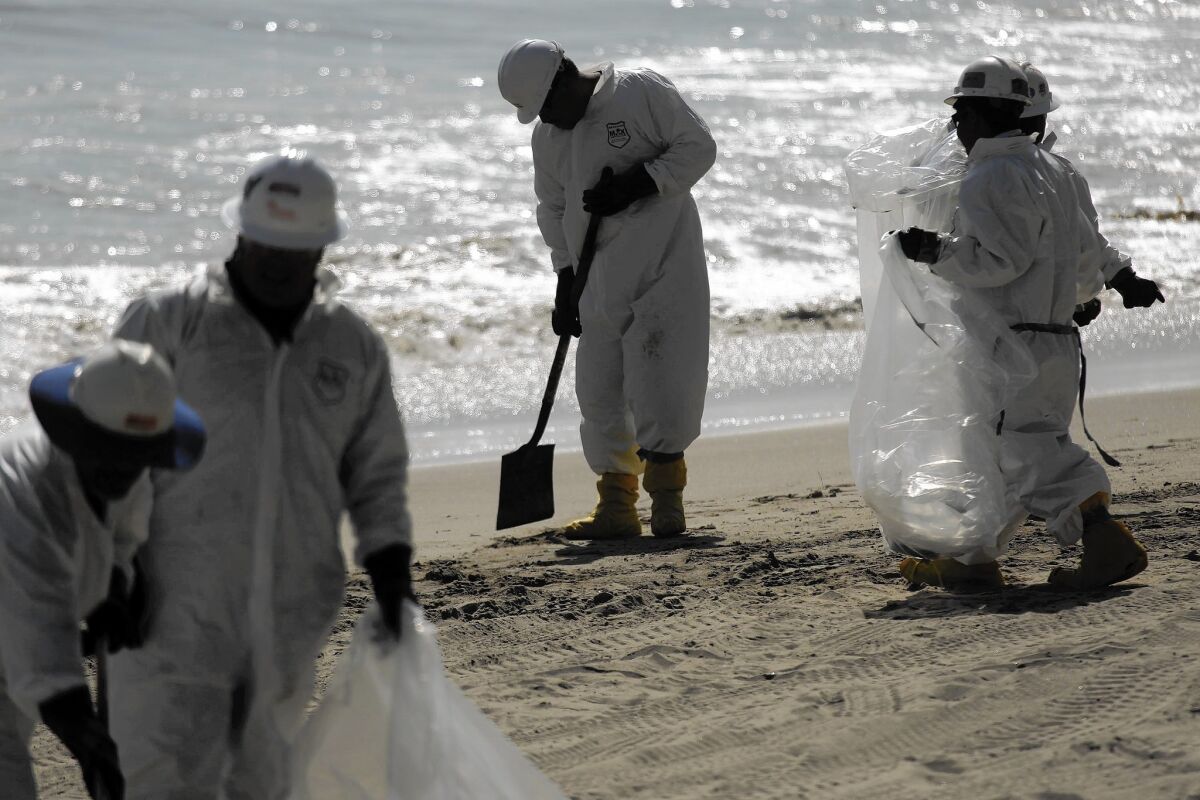 Cleanup crews work on the crude-stained Santa Barbara County coastline at El Capitan State Beach. As many as 101,000 gallons of crude oil spilled from a ruptured pipeline owned by Plains All American Pipeline, and of that about 21,000 made its way into a culvert, under U.S. 101 and into the Pacific last week.