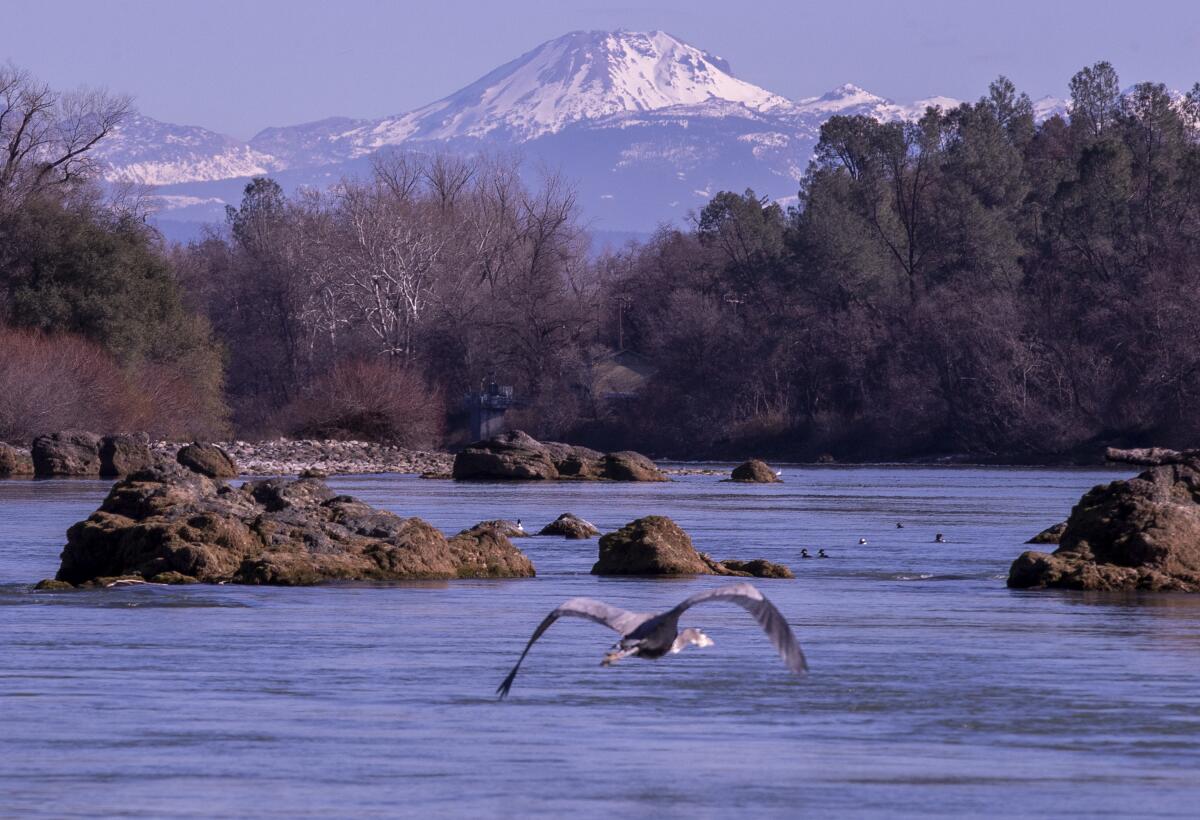 A bird flies over a river as snow-capped mountains rise in the background.