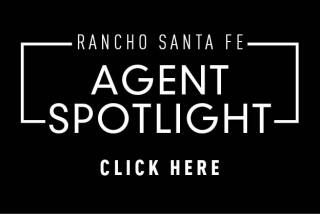 Agent spotlight RSF