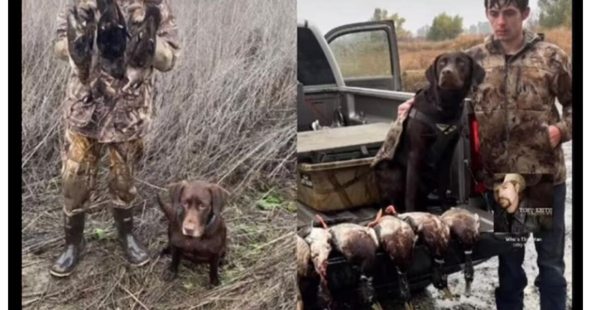 A kayak flips over during a duck-hunting trip and a boy dives in to save his brother. Both are missing