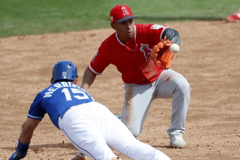 Kansas City Royals' Whit Merrifield (15) dives back safely on a pickoff attempt as Los Angeles Angels' Wilfredo Tovar makes the catch during the third inning of a spring training baseball game Thursday, March 7, 2019, in Surprise, Ariz. (AP Photo/Matt York)