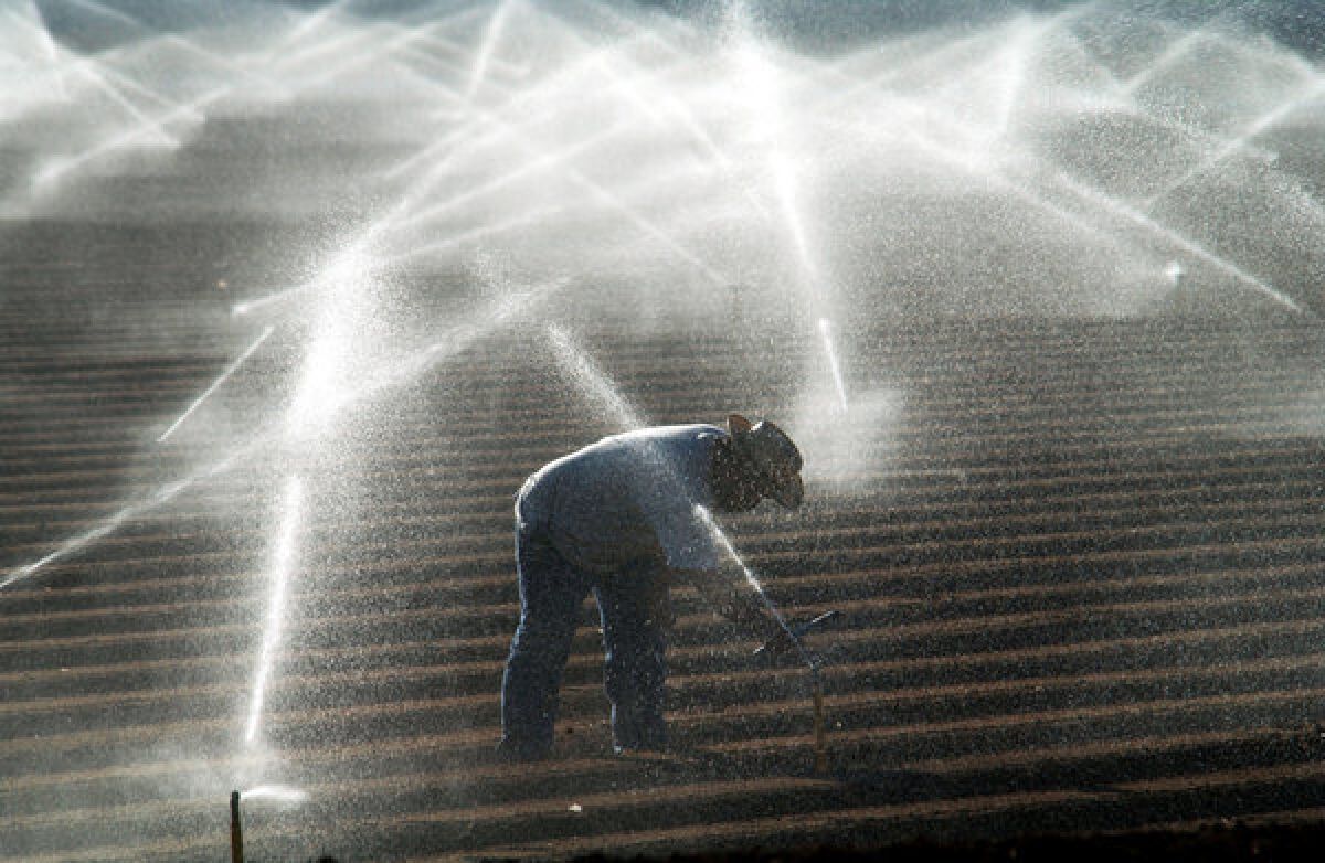 A farm worker in the Imperial Valley adjusts sprinkler heads spraying water that comes from the Colorado River. A water deal between Imperial Valley and the cities of San Diego County has been approved by a judge.