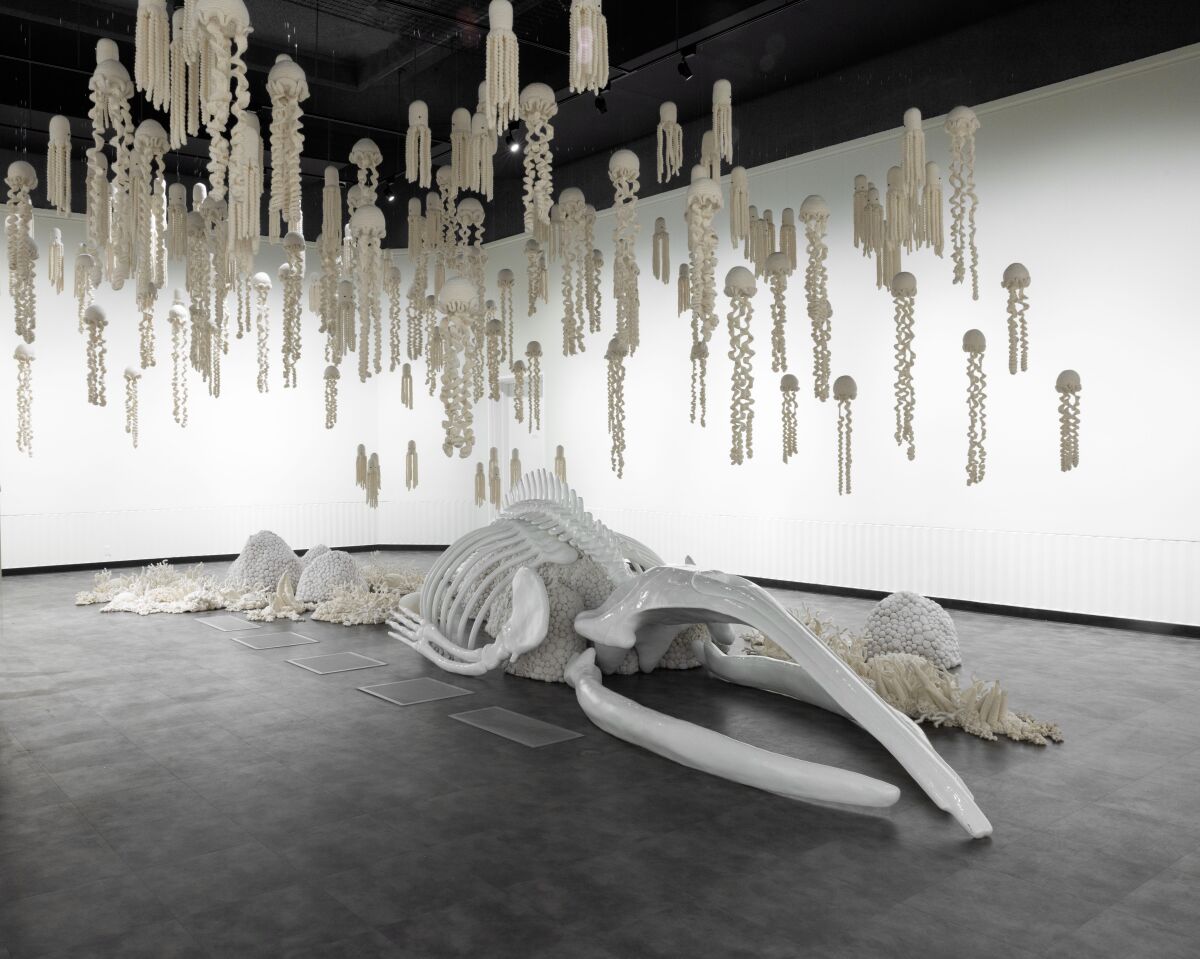 In a gallery, strands of white hang above what looks like whale skeleton.