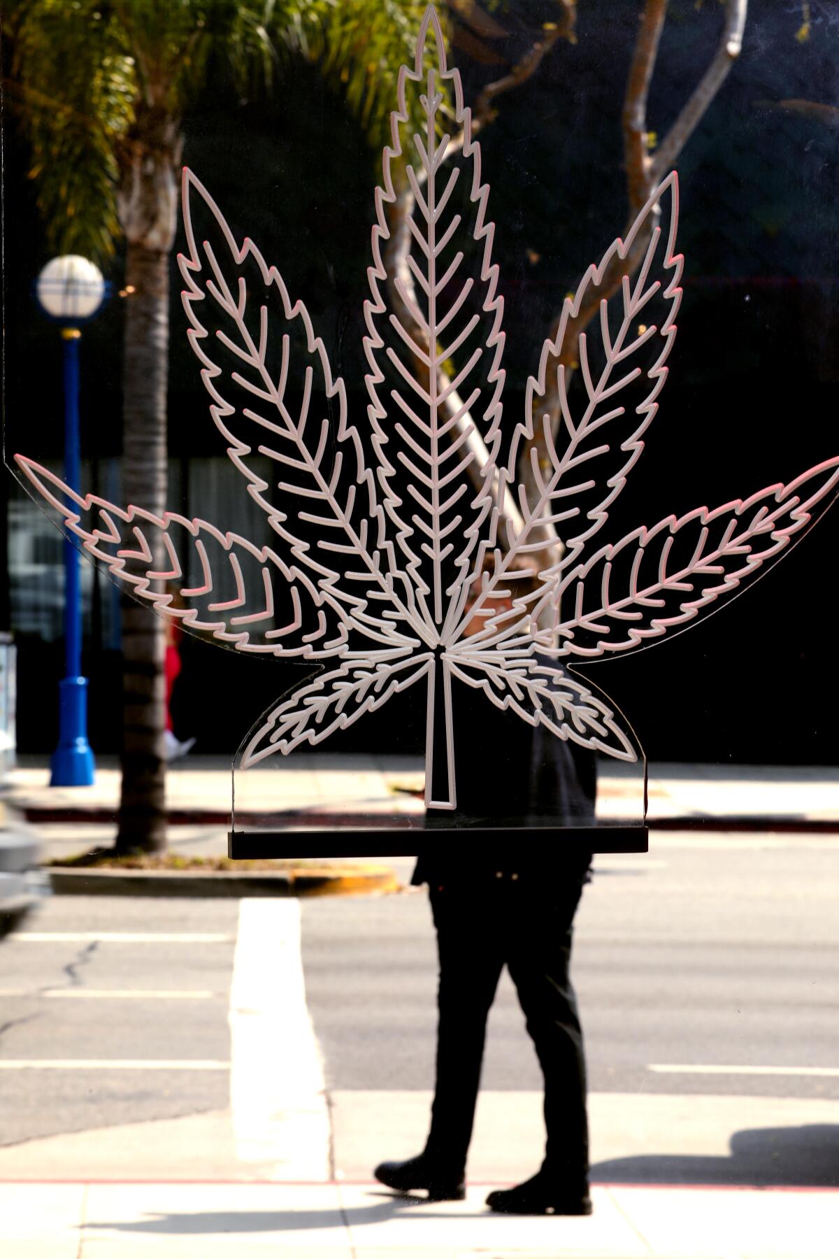 A pedestrian is framed by a neon marijuana leaf that hangs on a storefront window at The Artist Tree in West Hollywood.