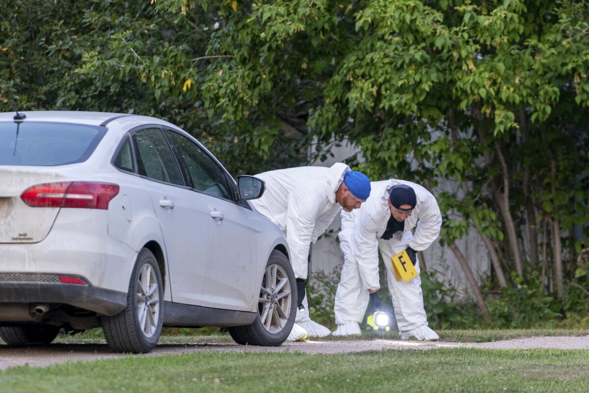 Investigators examining ground at scene of stabbing
