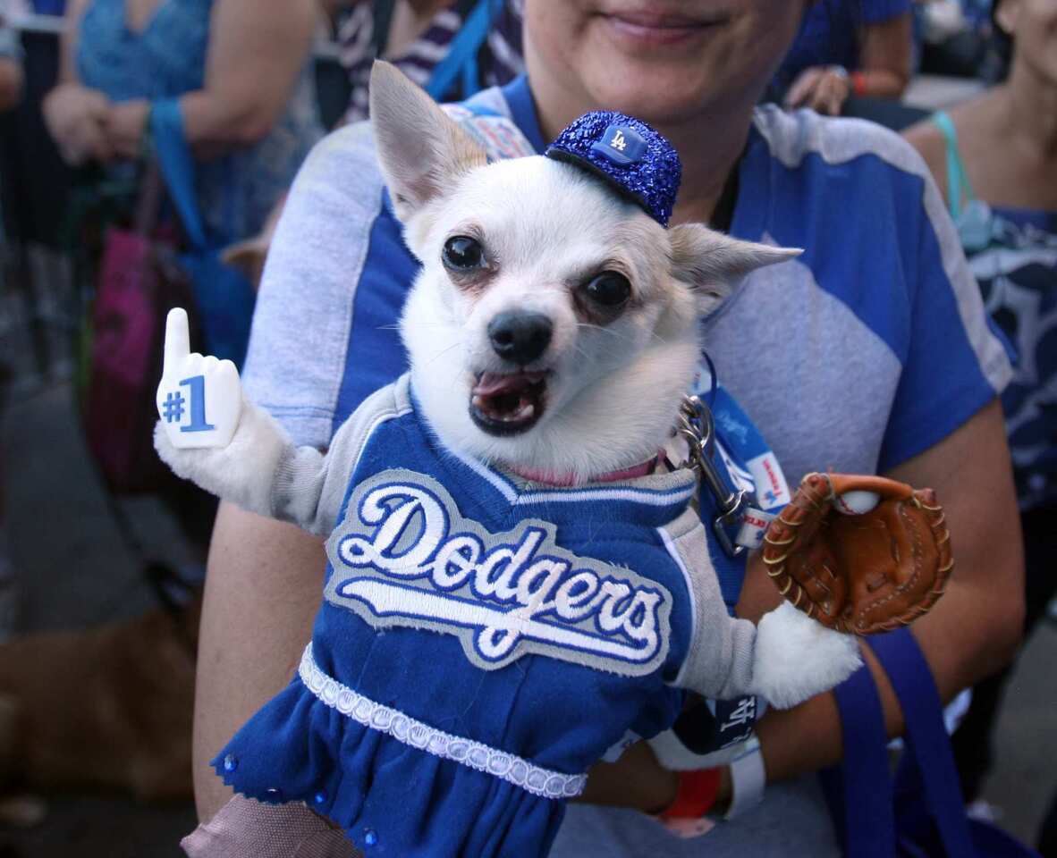 Pet Family Photo Day featuring Blue - Los Angeles Dodgers