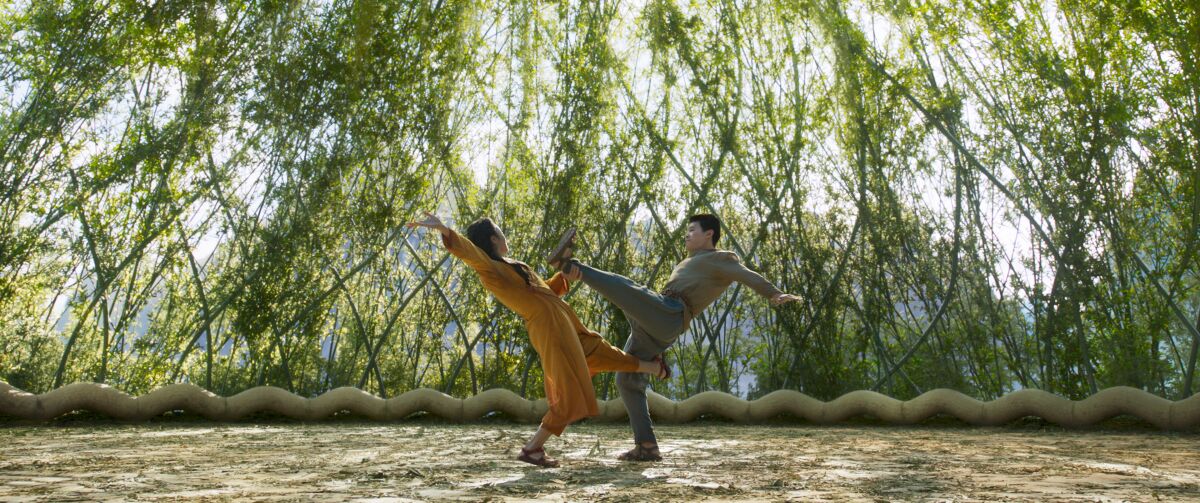 Two martial arts fighters battle in front of a screen of trees.