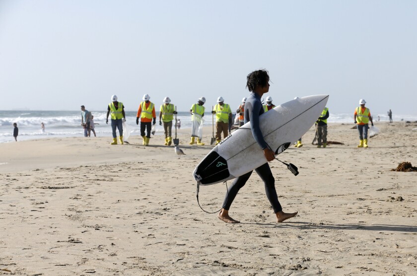 A surfer walks past a line of waste management personnel searching for oil in Huntington Beach, near the pier.