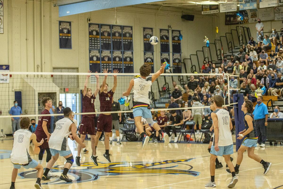 Marina's Aidan Patterson goes up for a kill during Saturday's match. 