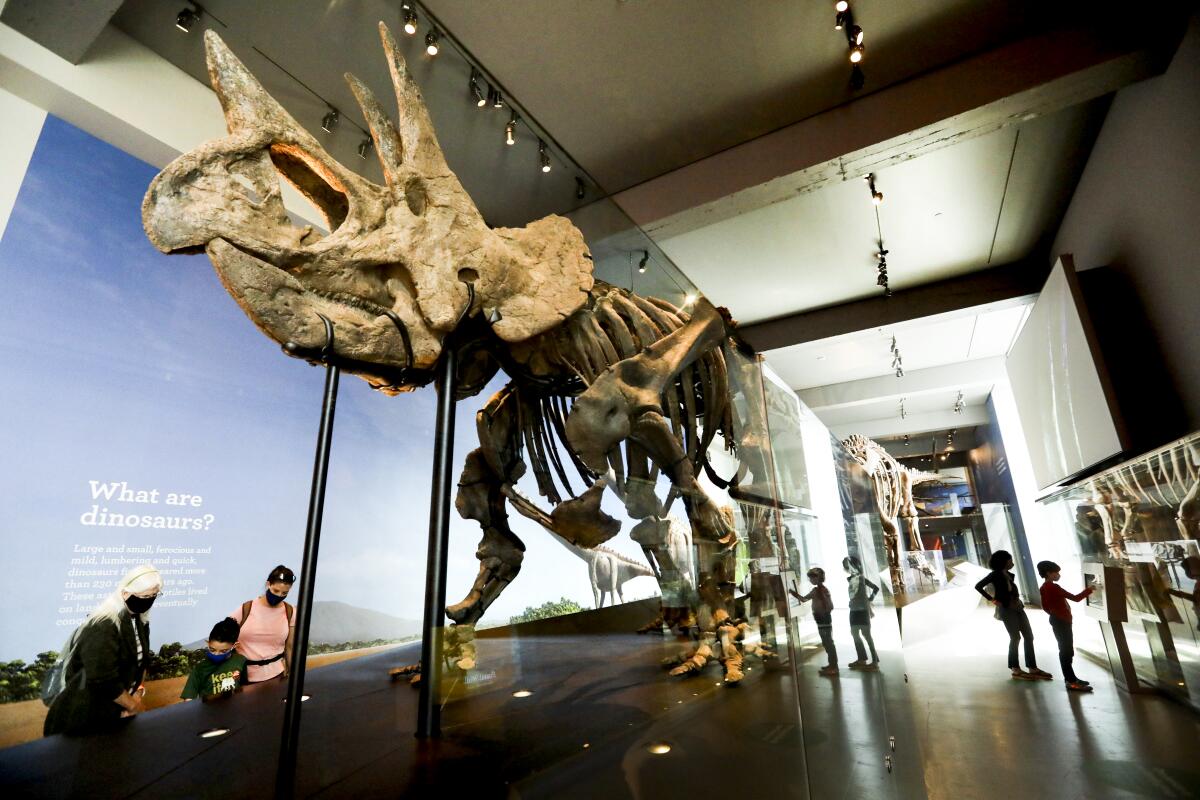 El museo de Historia Natural de Los Ángeles aumentara su boleto de entrada este 1 de julio.
