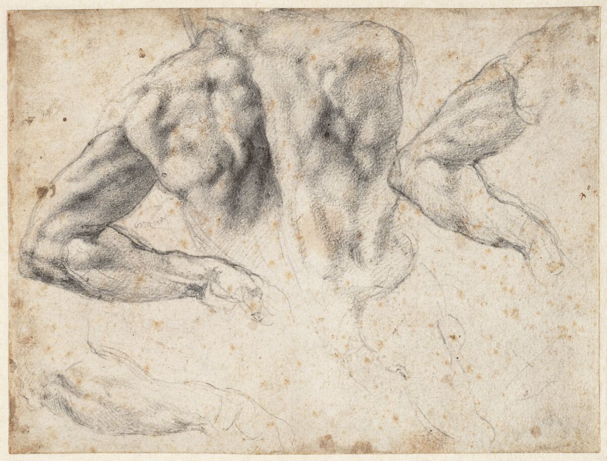 Michelangelo Buonarroti, "Studies of the Back and Left Arm of a Male Nude," 1523-24, black chalk.