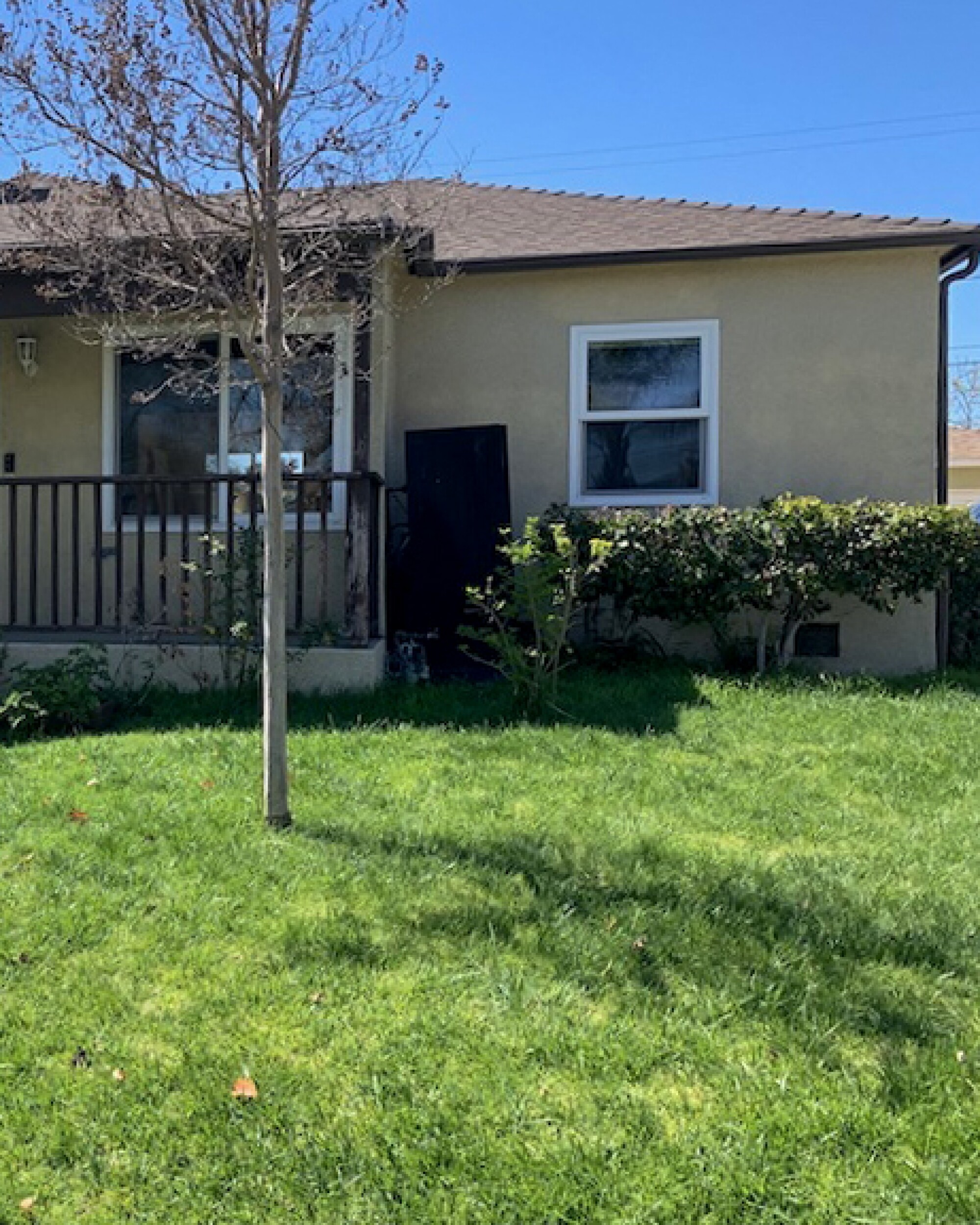 Lawn in front of a house 