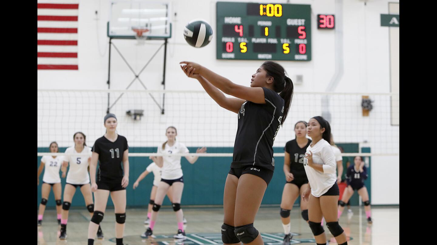 Photo Gallery: Costa Mesa High vs. Calvary Chapel girls' volleyball