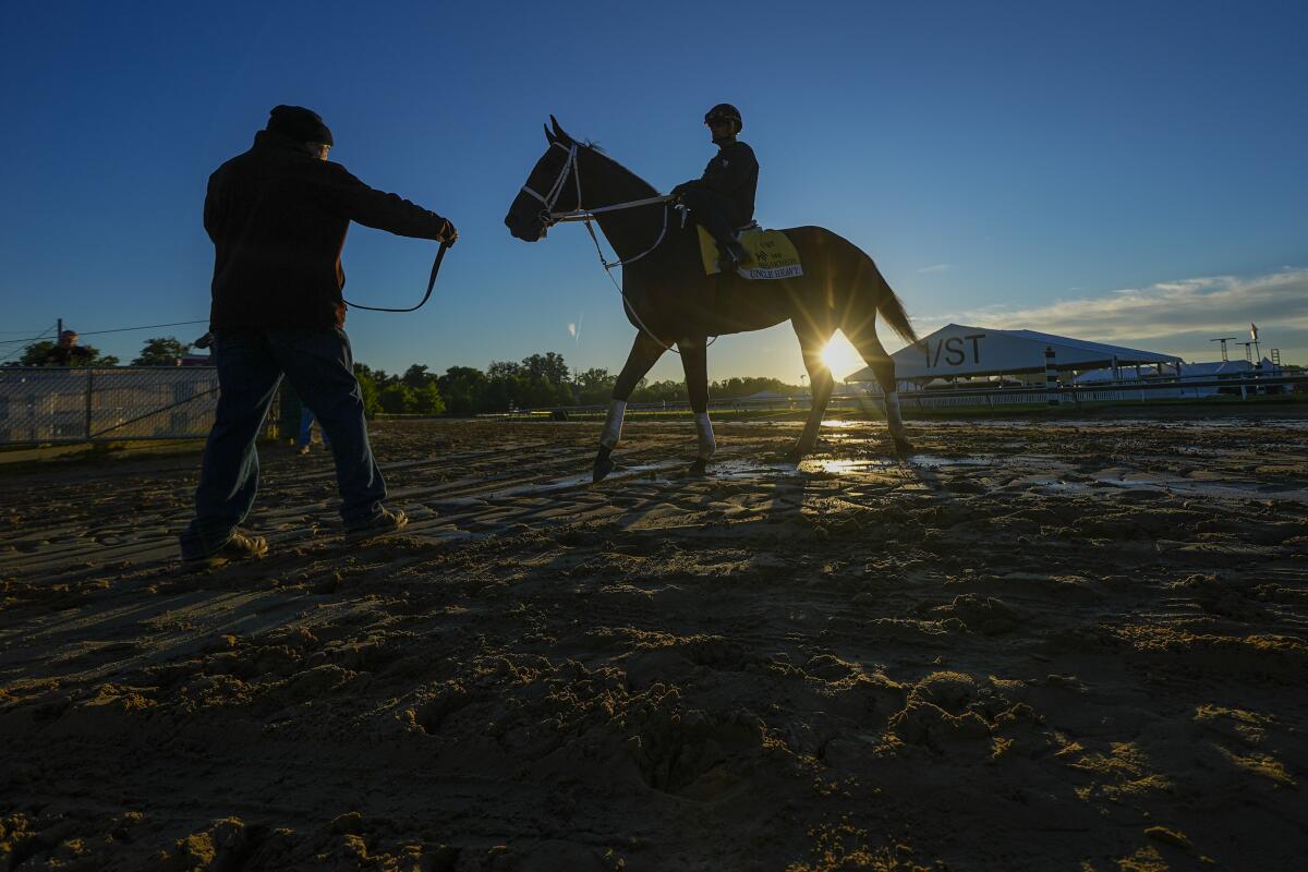 Preakness Stakes entrant Uncle Heavy finishes a workout Thursday ahead of the 149th running of the Preakness Stakes