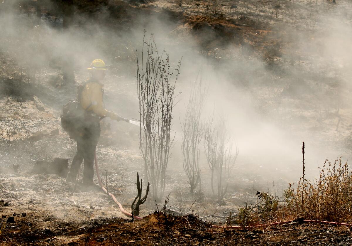 The Oak fire burns through trees near Mariposa, Calif., earlier this week. 