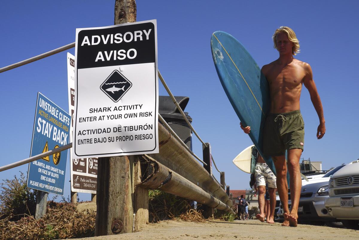 A man with a surfboard walks by a sign that says "Advisory: shark activity"