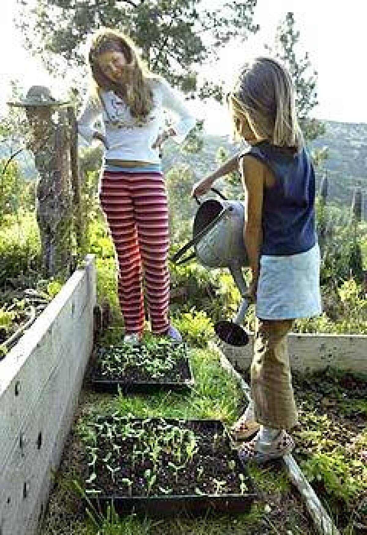 Shannon McGiffert and daughter Natalie, 8, care for sunflower seedlings at their Topanga home. They bring the flats inside each night to protect the young plants from scavengers.