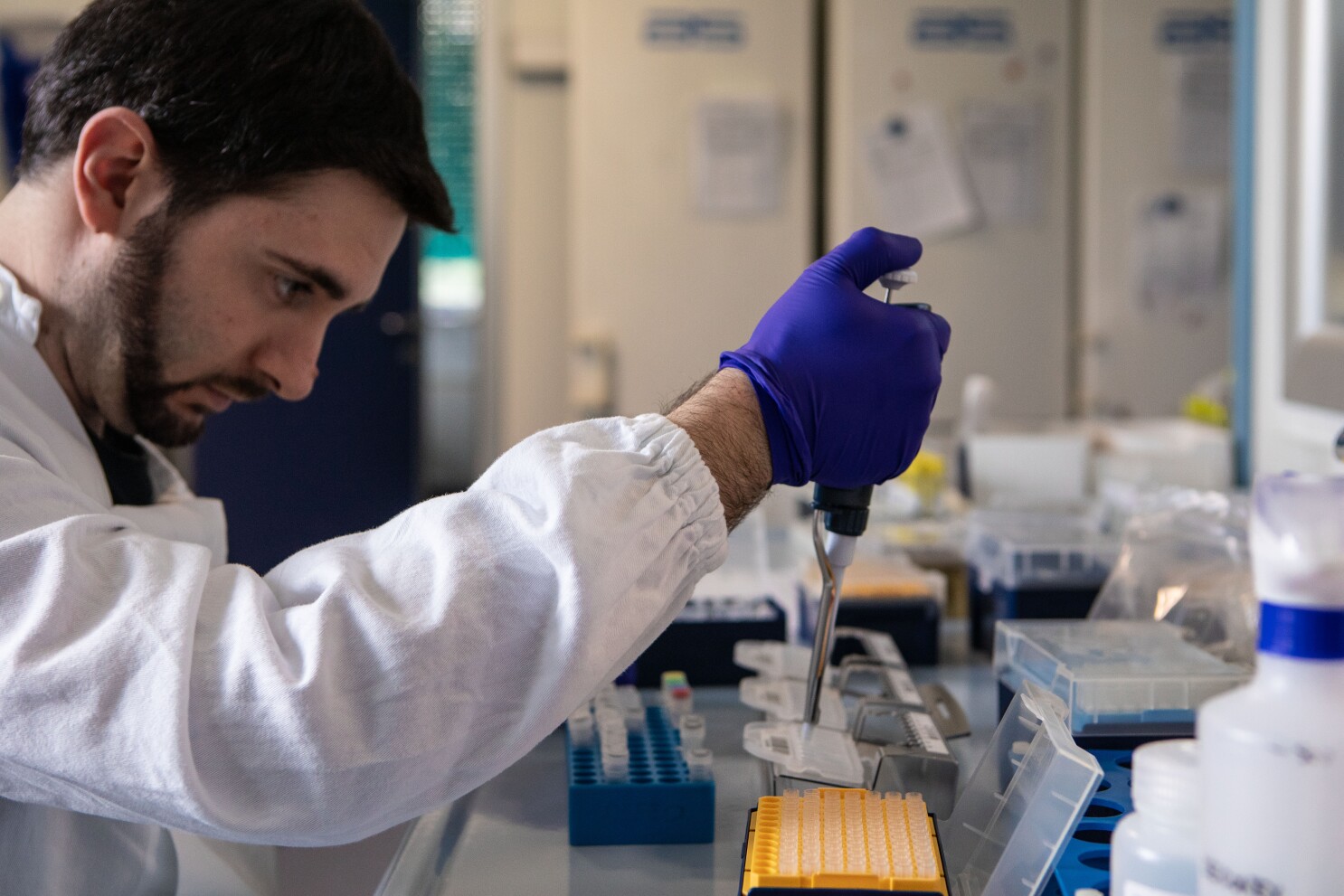 Coronavirus Testing Needed To Id Infected Who Recovered Los