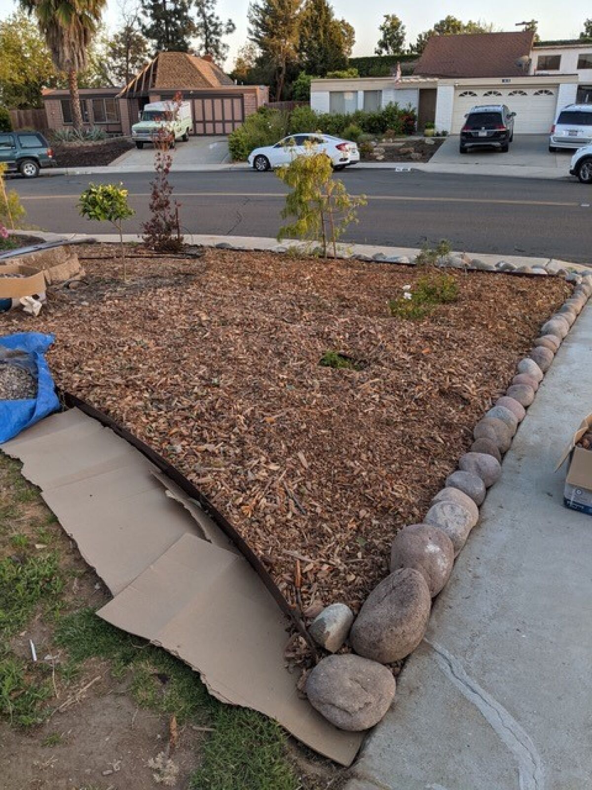 During the makeover process, Dell did sheet mulching and outlined an area for the rock path.