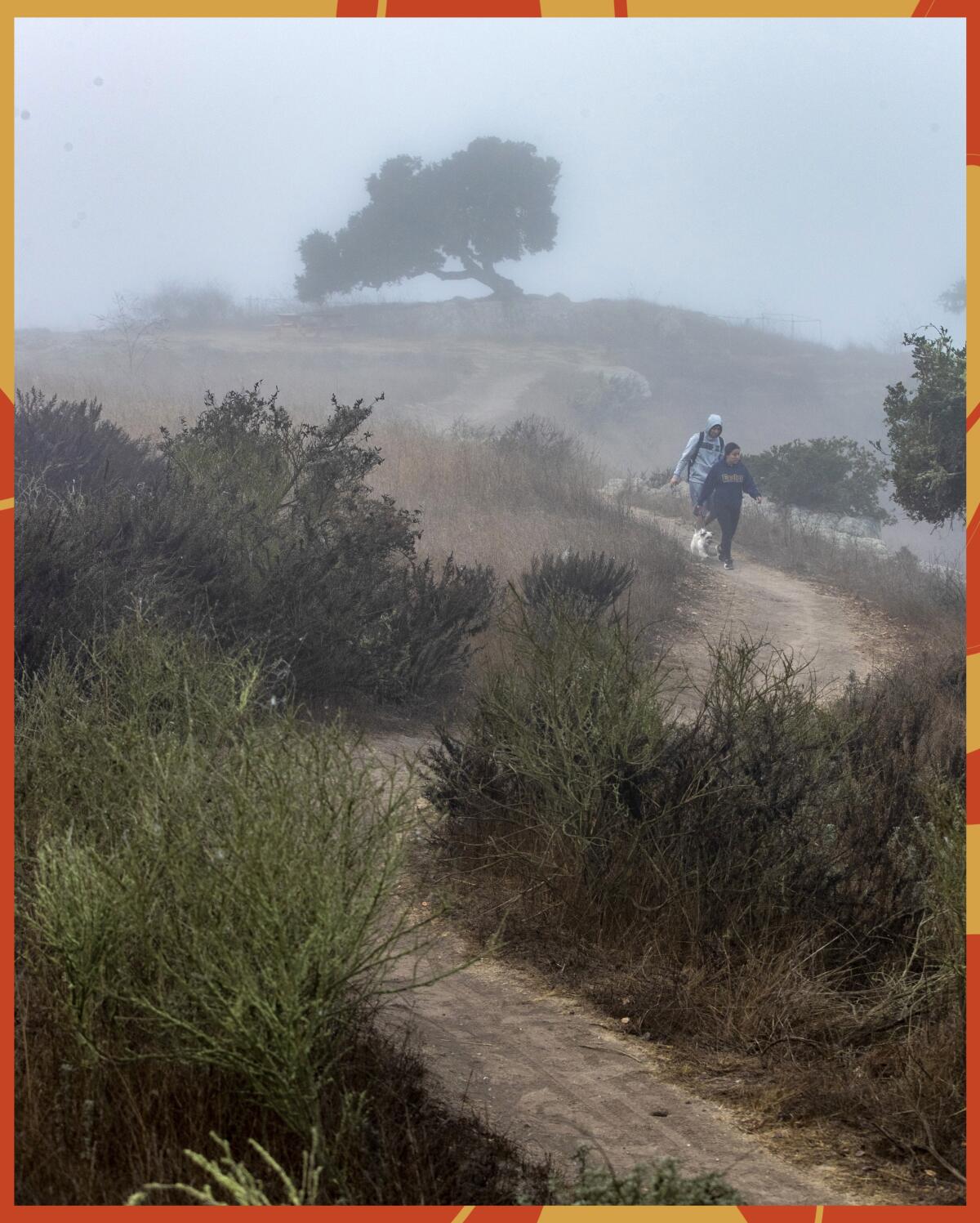 Hikers walk the Spring-to-Spring Trail at Pismo Preserve.