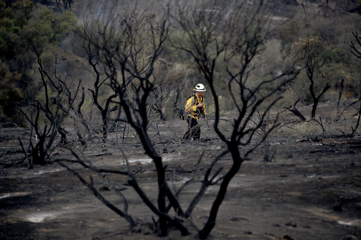 A firefighter walks through a burned landscape.