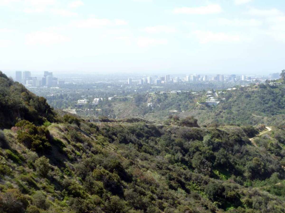 Franklin Canyon's Hastain Trail offers views of Century City, Westwood and more.