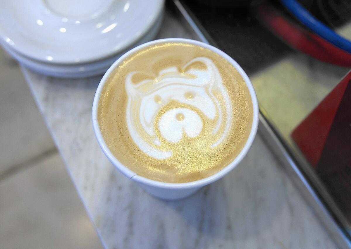 Baristas draw the face of a bear in the foam of a special coffee drink.