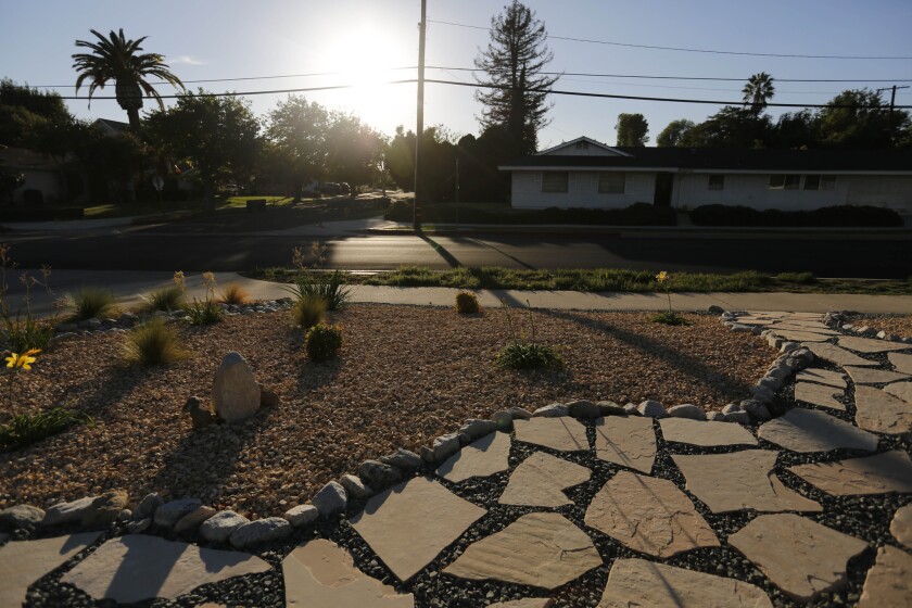 The San Fernando Valley is leading Los Angeles County in lawn-replacement rebates. Dorian Castillo designed the drought-tolerant landscaping that surrounds her house.