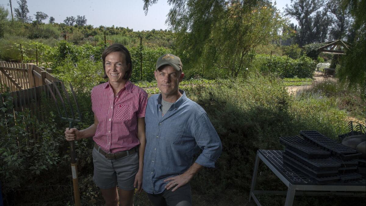 John and Molly Chester on their organic farm in Moorpark, Calif. John directed a documentary that follows the development of the farm over seven years and will premiere at the Telluride Film Festival.