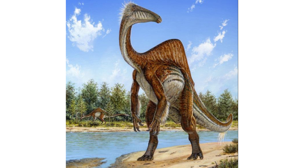 Deinocheirus fossils reveal dinosaur behind huge 'T.rex' arms