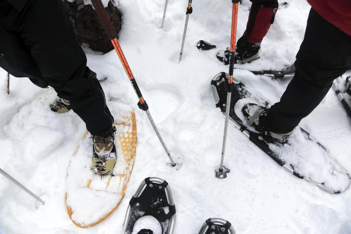 Traditional and modern snowshoes.