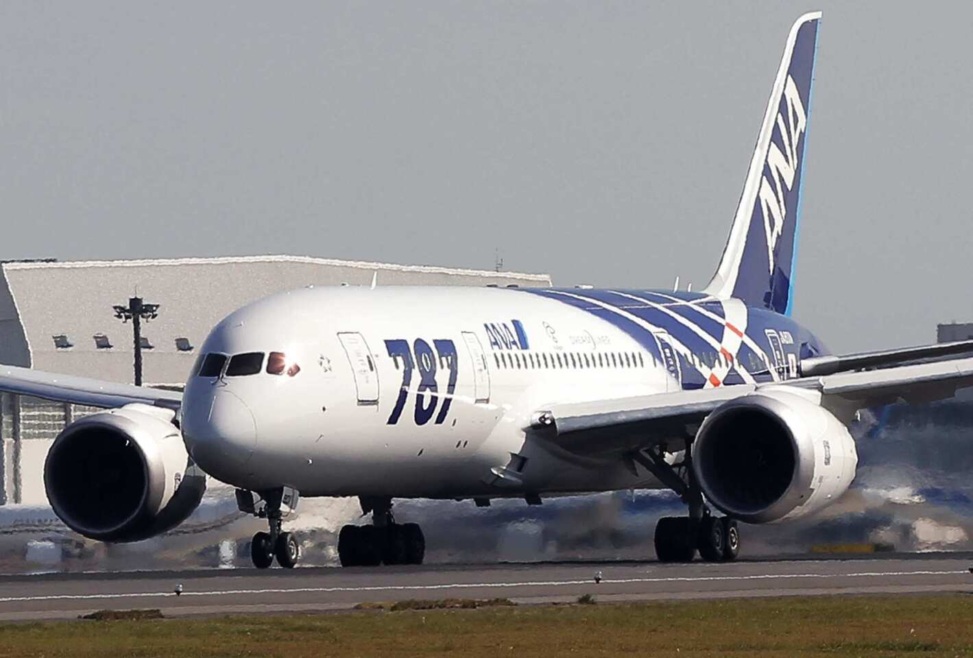All Nippon Airways' first Dreamliner sits 264 passengers: 252 in economy class and 12 in business. Later versions of the plane for short-haul flights will seat 180 passengers in economy and 42 in business. Planes for long-haul flights will seat 112 passengers in economy and 46 passengers in business.