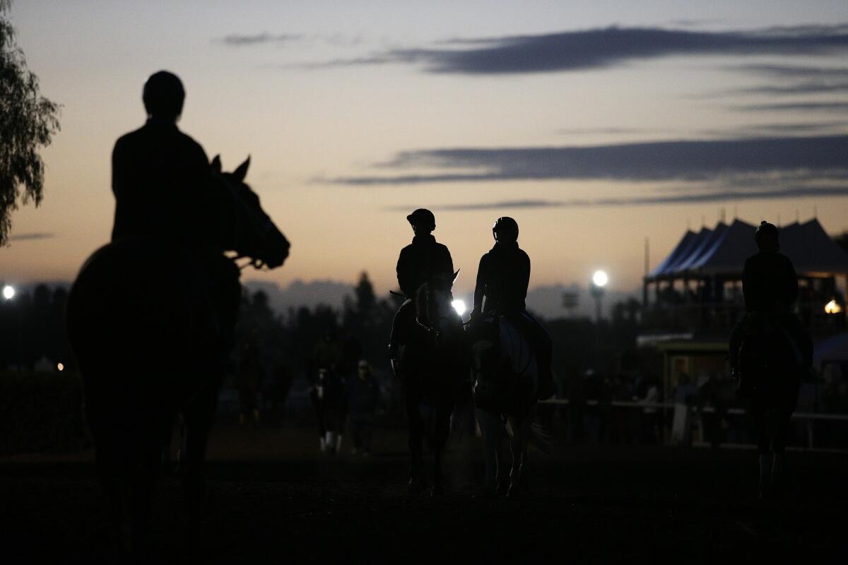 Exercise riders take to the track during a training session at Santa Anita on Tuesday morning.