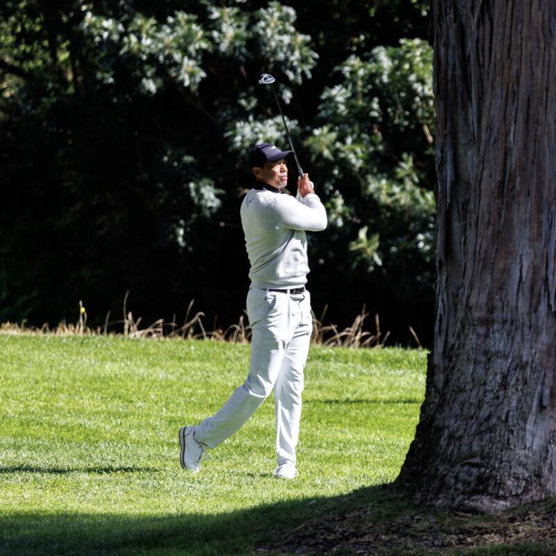 Tiger Woods hits out of the rough from behind a large tree on the 13th hole.