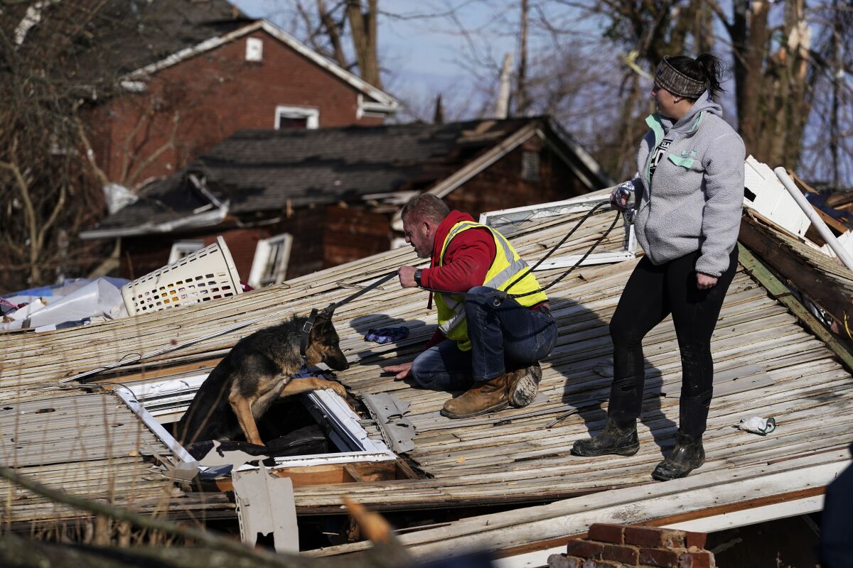 A dog climbs out of a window of a flattened home toward his handler 