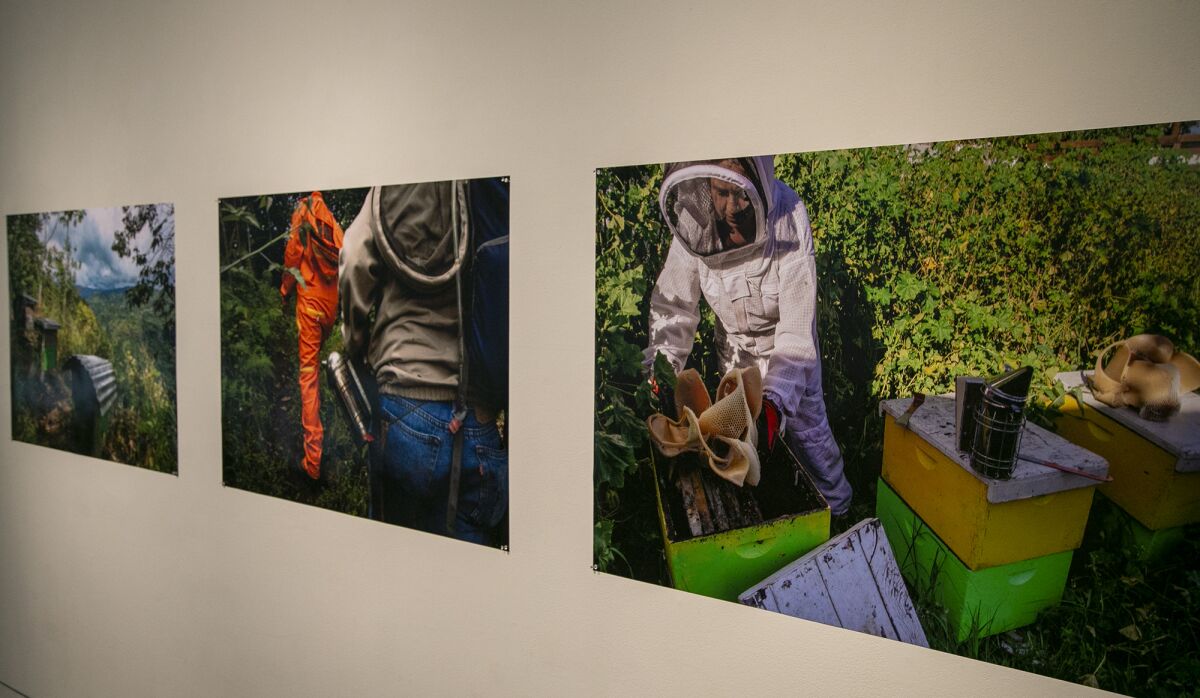 In a photo on exhibit, Alicia Rojas creates a beeswax sculpture.